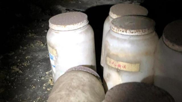 Tarros con lenguas humanas en su interior