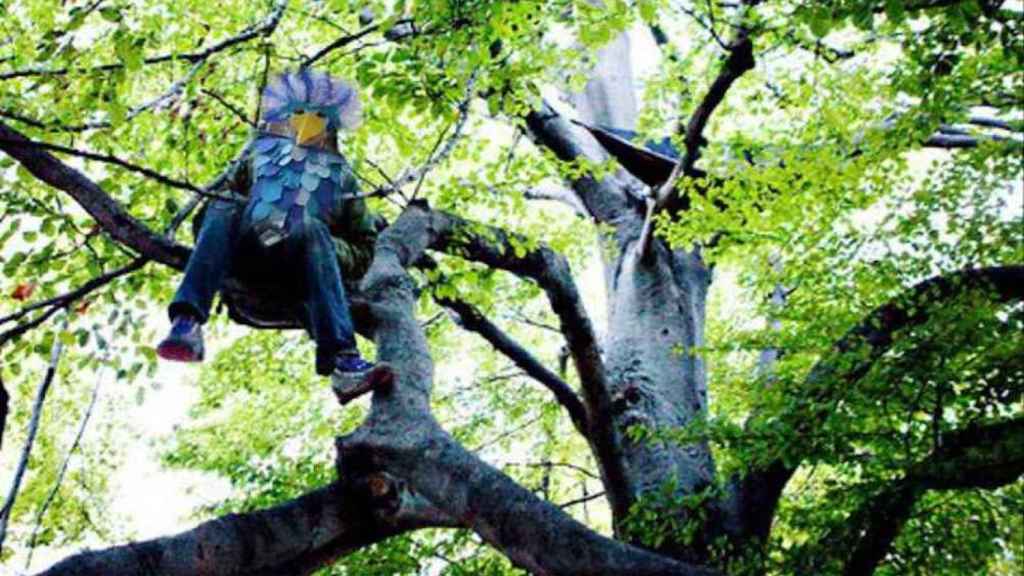 Una foto de archivo de un hombre disfrazado de pájaro en un árbol