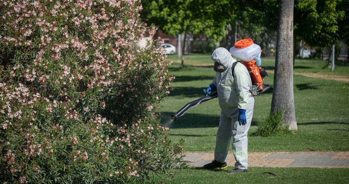 Un operario fumiga para evitar la proliferación del mosquito transmisor del Virus del Nilo /EP