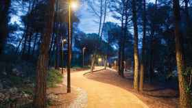 Imagen de un sendero en un parque de Barcelona de noche / EP