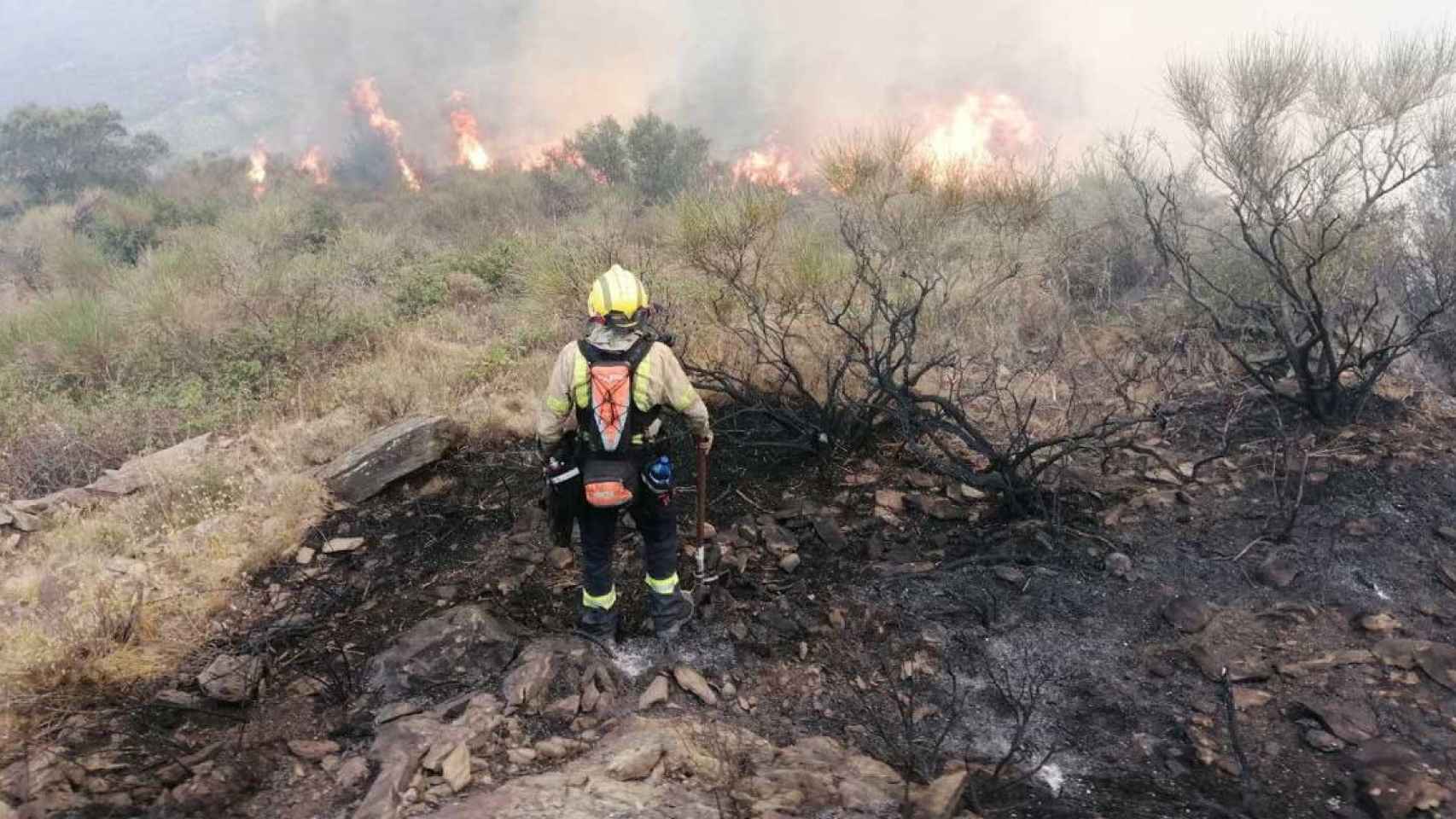 Un bombero trabajando en la extinción del incendio del Cap de Creus, en Girona / BOMBEROS DE LA GENERALITAT (@BOMBERSCAT)