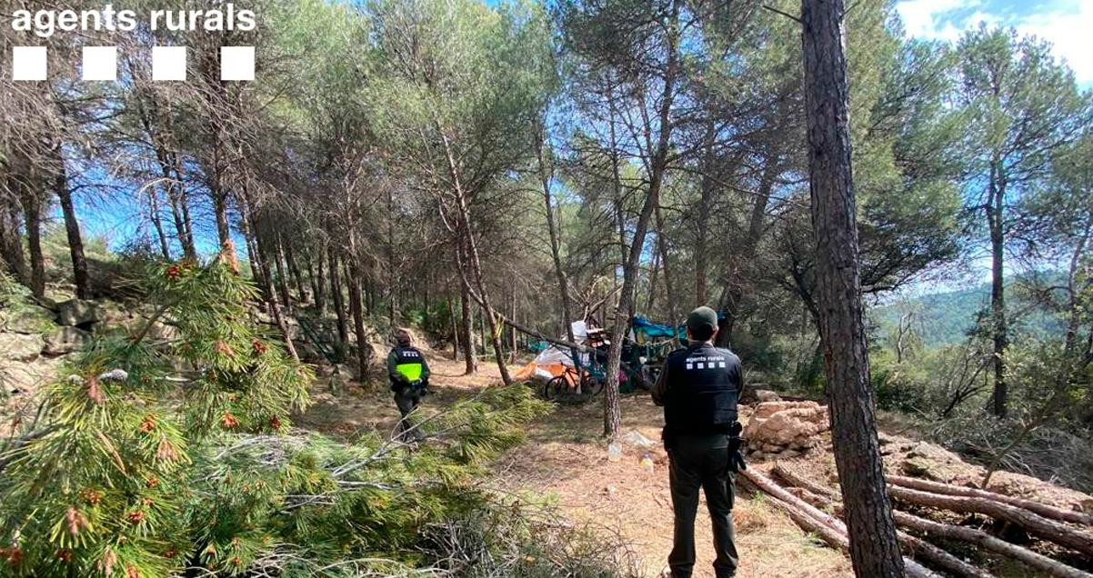 Imagen de la acampada ilegal de Gaià, con árboles talados / AGENTS RURALS