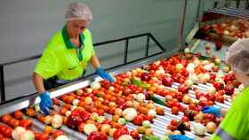 Dos trabajadoras de PepsiCo en la planta de Alvalle de Alcantarilla (Murcia) / CG