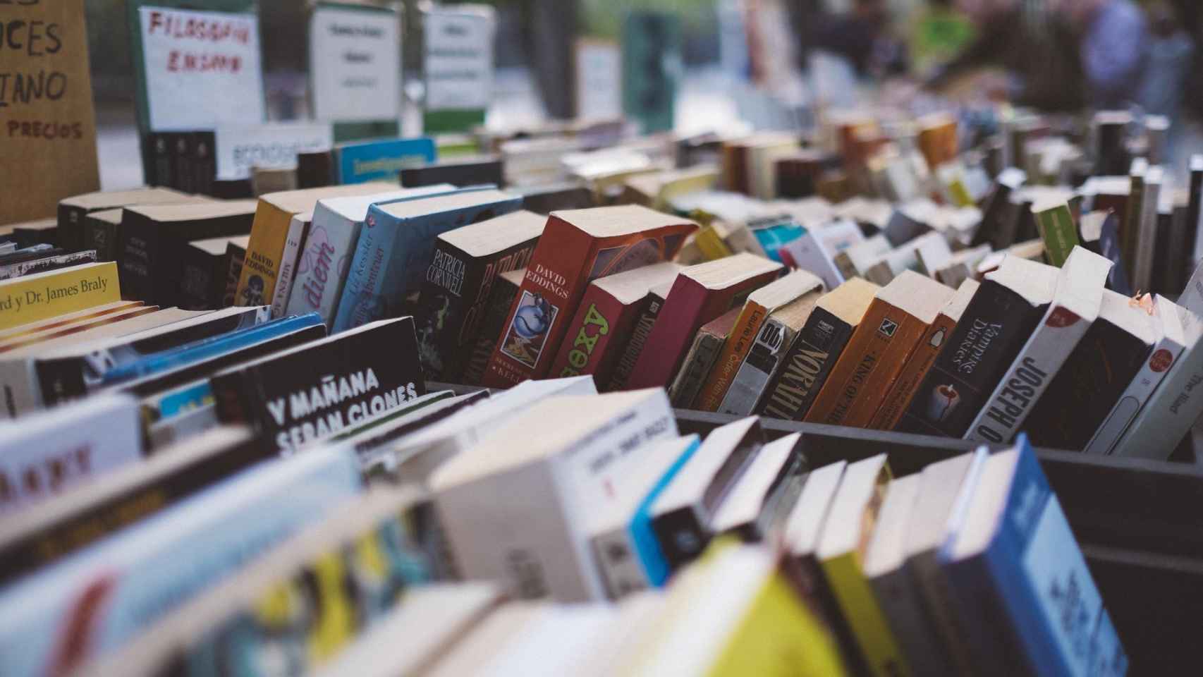 Libros de diferentes temáticas apilados de varias librerías / PIXABAY