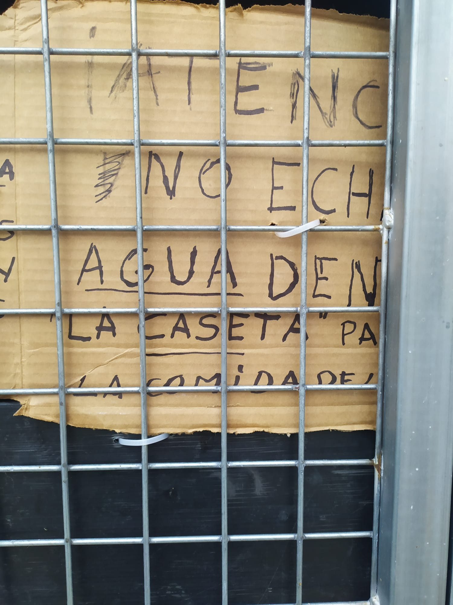 Un cartel pidiendo que no tiren el agua y la comida de los gatos / CEDIDA