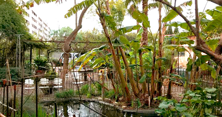 Los jardines de Palo Alto, donde se realiza el 'market'