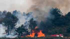 Imágenes del incendio en Mijas, que preocupa por las condiciones meteorológicas y el auge de temperaturas / EFE