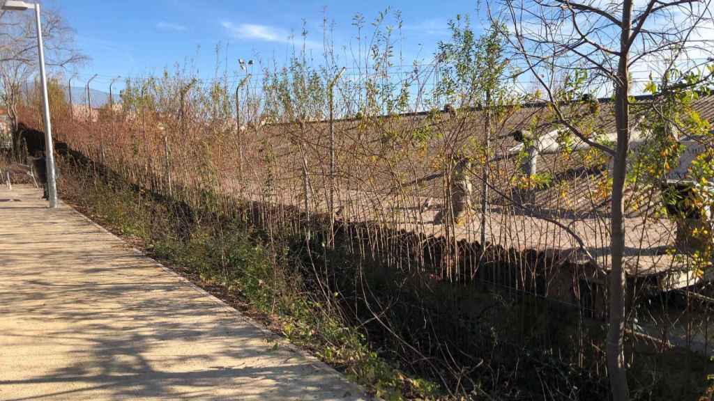 El tejado de fibrocemento de la nave industrial junto a uno de los caminos del nuevo parque de los Jardins Pla i Armengol / CG