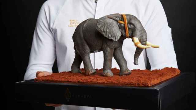 Edición limitada del elefante con que Lluc Crusellas ganó el 'World Chocolate Master' / CEDIDA