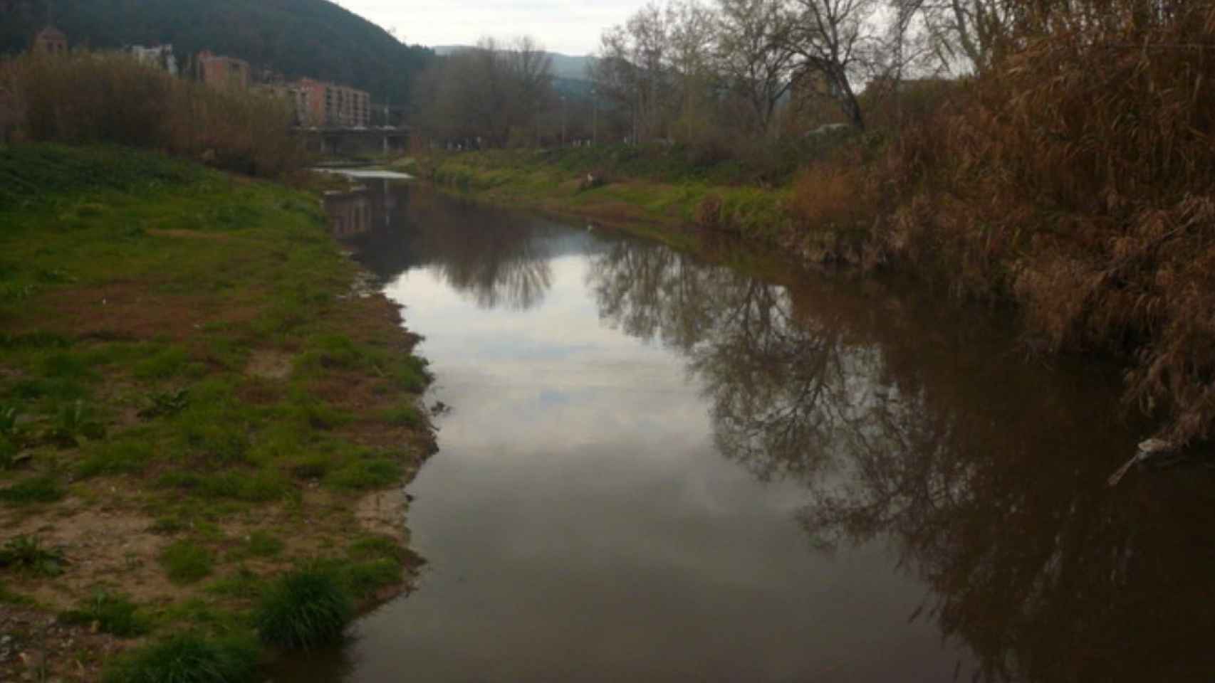 El río Anoia a su paso por Martorell (Barcelona) / WIKIPEDIA