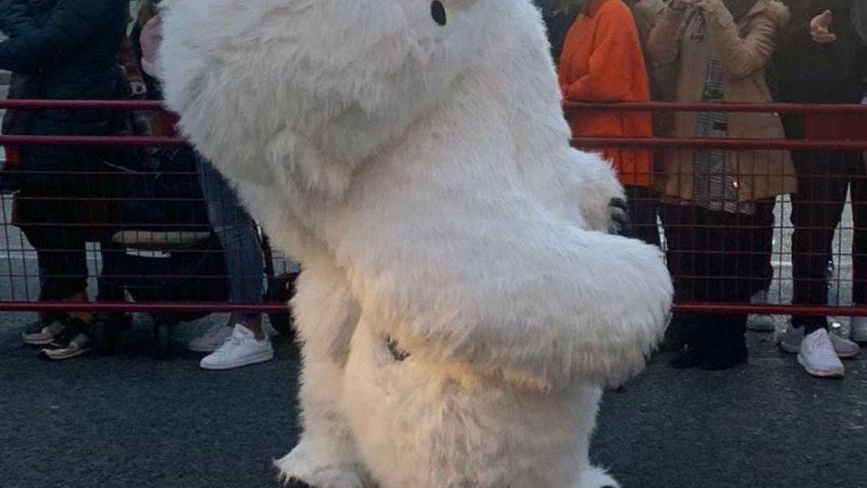 El oso de la cabalgata de Cádiz / TWITTER