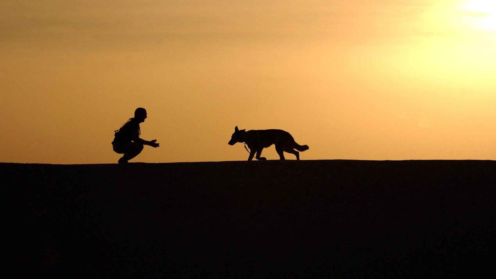 Un humano y su perro a contraluz / CG