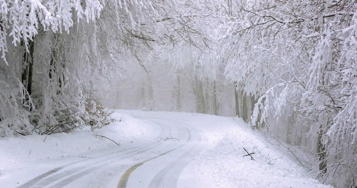 Un camino completamente nevado, en una estampa plenamente invernal / PIXABAY