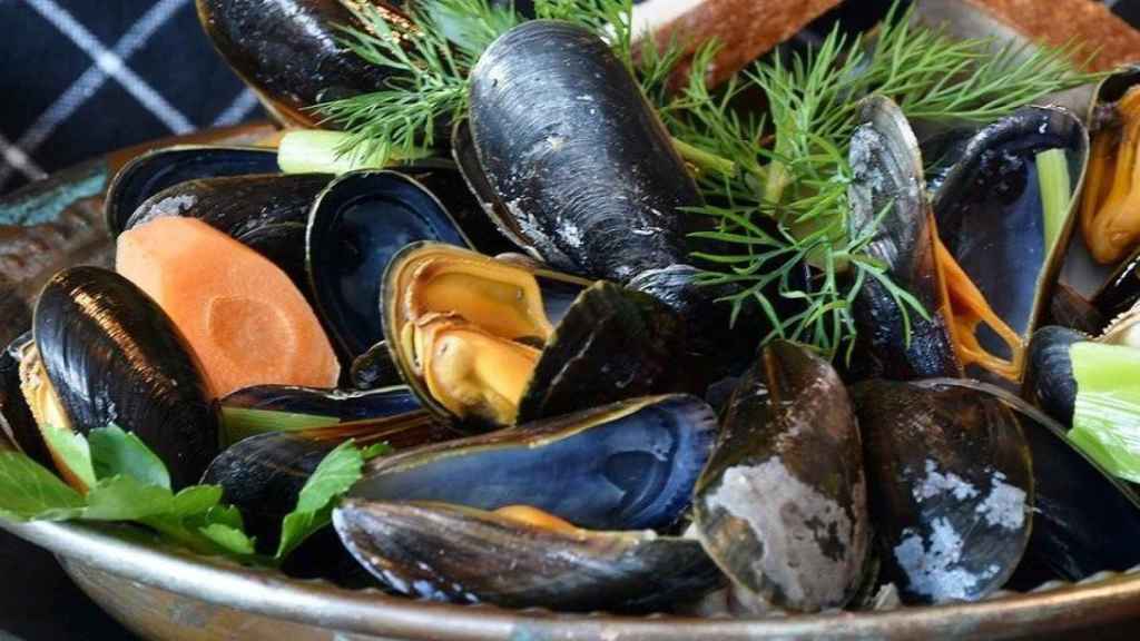 Mejillones, un clásico en los restaurantes gallegos / RitaE EN PIXABAY