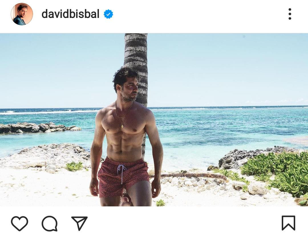 David Bisbal presume de torso desnudo y enciende las redes