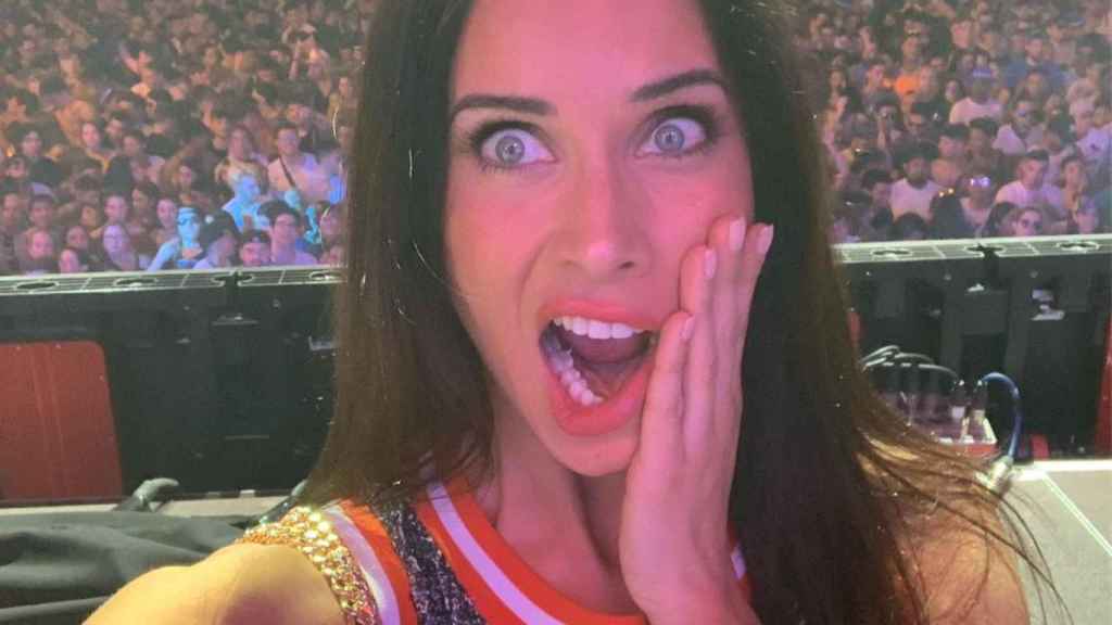 Pilar Rubio, de desfase en un concierto /  INSTAGRAM