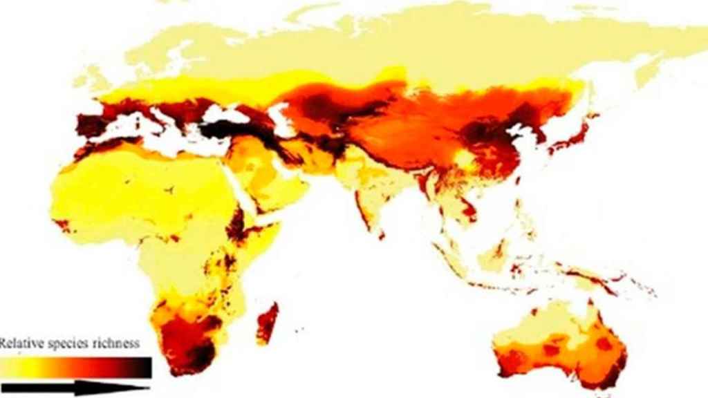 Distribución de las especies de abejas en el mundo / CURRENT BIOLOGY