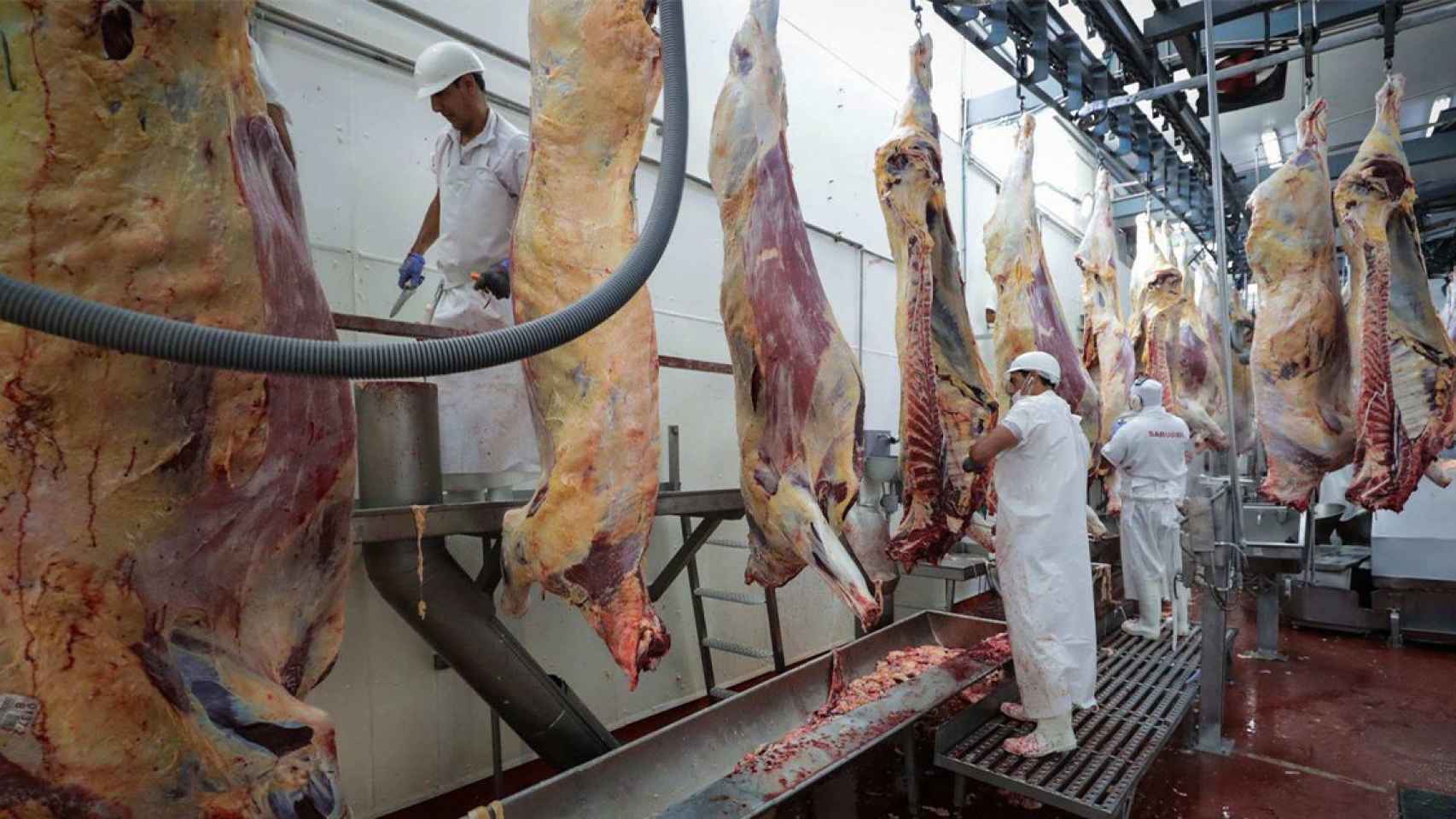 Foto de archivo de un matadero con múltiples trabajadores / EFE