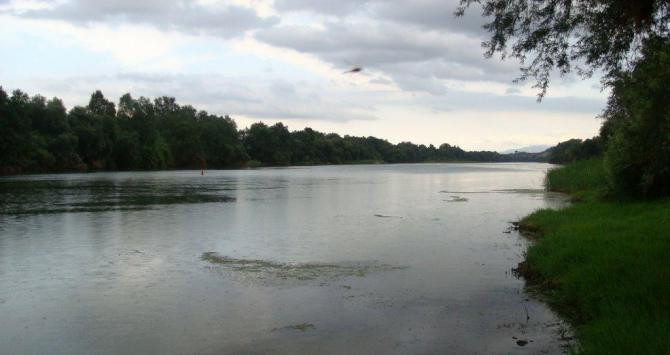 Playa fluvial de Aldover / MAPIO