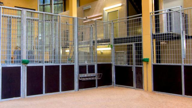 Más de 20 quiebras en Cataluña