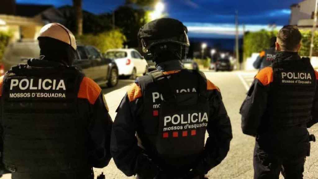 Operación de Mossos d'Esquadra contra el tráfico y cultivo de marihuana / EUROPA PRESS