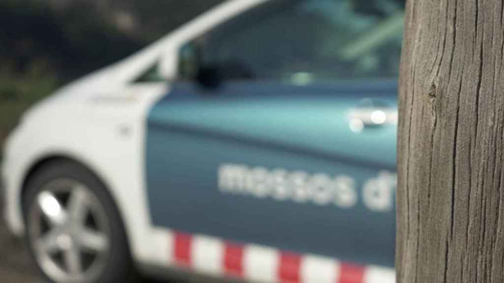 Imagen de archivo de los Mossos d'Esquadra en una zona rural durante una investigación / MOSSOS D'ESQUADRA