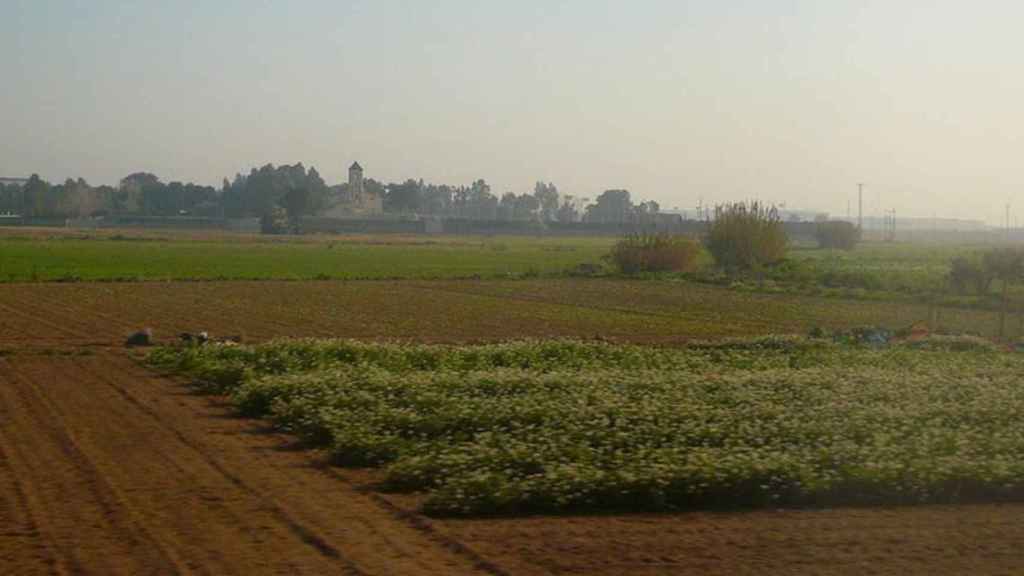 Parque Agrario del Baix Llobregat / WIKIPEDIA