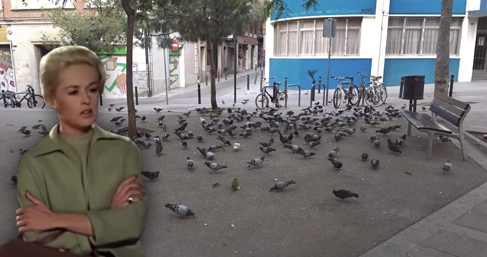 Tippi Hedren, protagonista de la película 'Los pájaros', revive sus miedos en la plaza del Nord, en Barcelona / FOTOMONTAJE DE CG