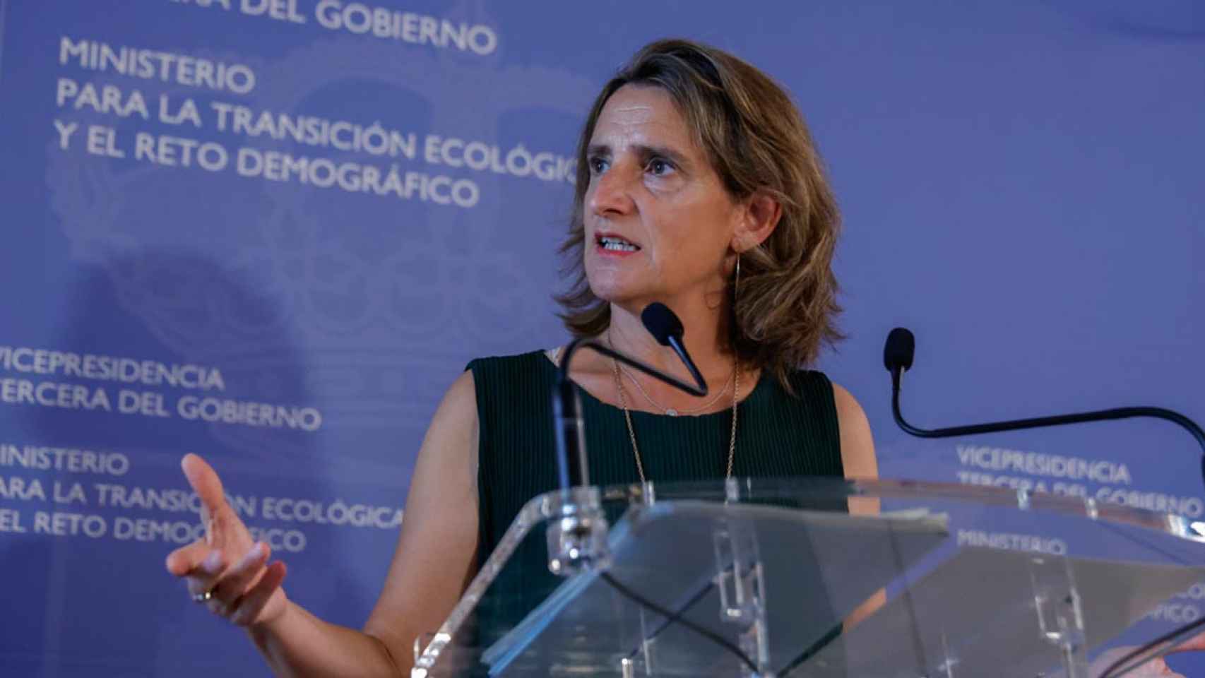 La vicepresidenta tercera del Gobierno, Teresa Ribera / CHEMA MOYA - EFE