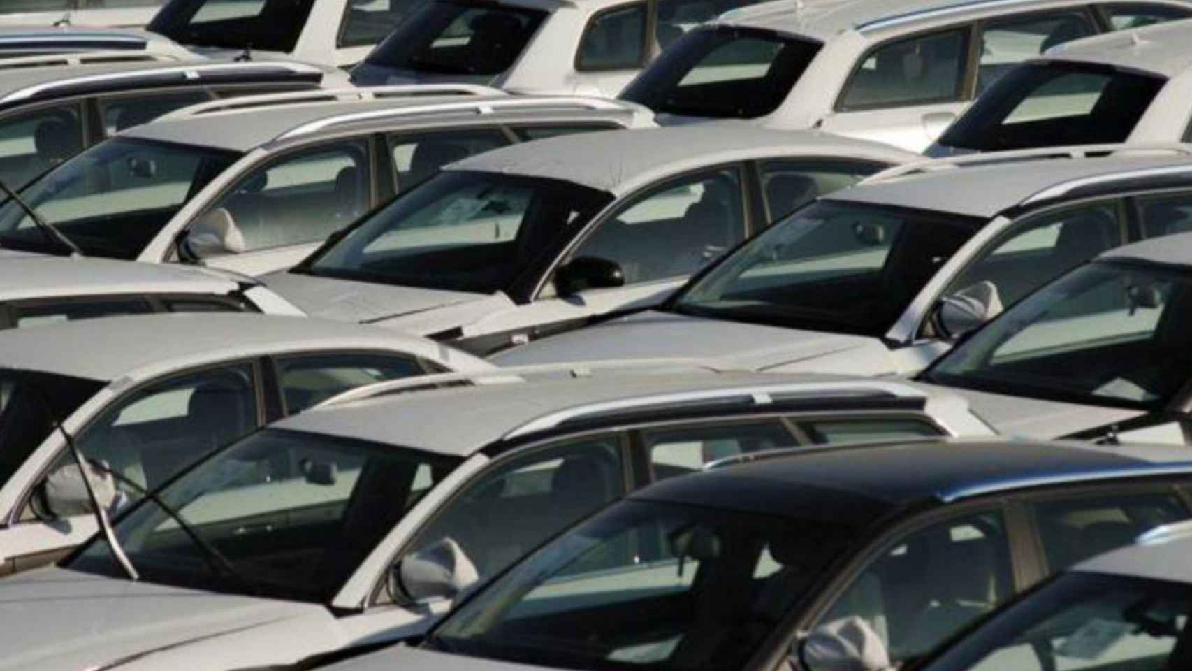 Coches listos para la venta en una campa de vehículos