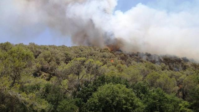 Incendio de vegetación forestal en Olivella (Barcelona) / BOMBEROS DE LA GENERALITAT