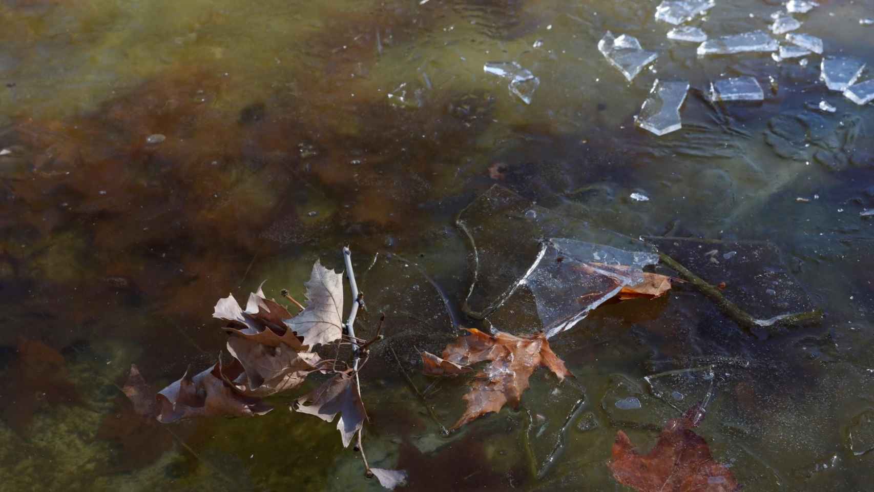 Capas de hielo en un lago formadas a causa de la bajada generalizada de las temperaturas / EUROPA PRESS