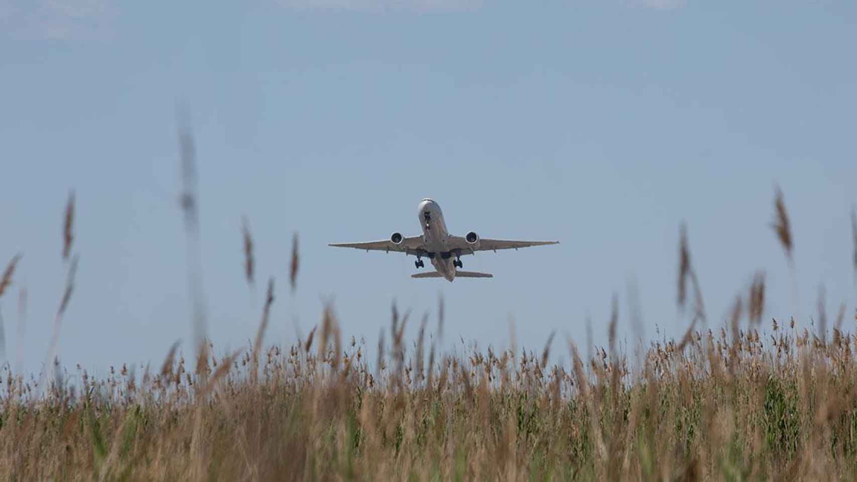 Un avión despega cerca del paraje natural de La Ricarda / EP