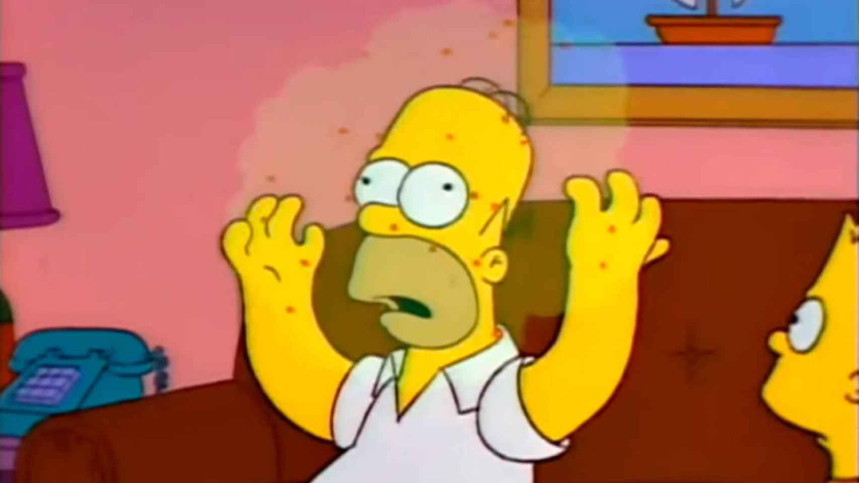 Homer Simpson y la gripe de Osaka / YOUTUBE