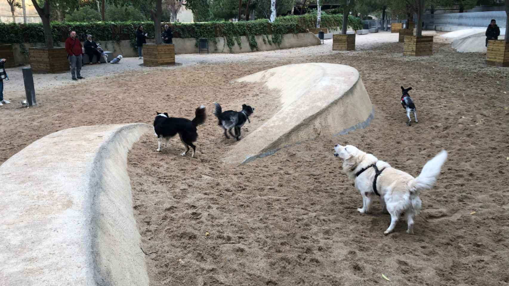 Área de recreo de perros del parque de la Estació del Nord, como las que se implantarán en Barcelona en 2023 para que puedan pasear sin atar, menos los de raza peligrosa / CG