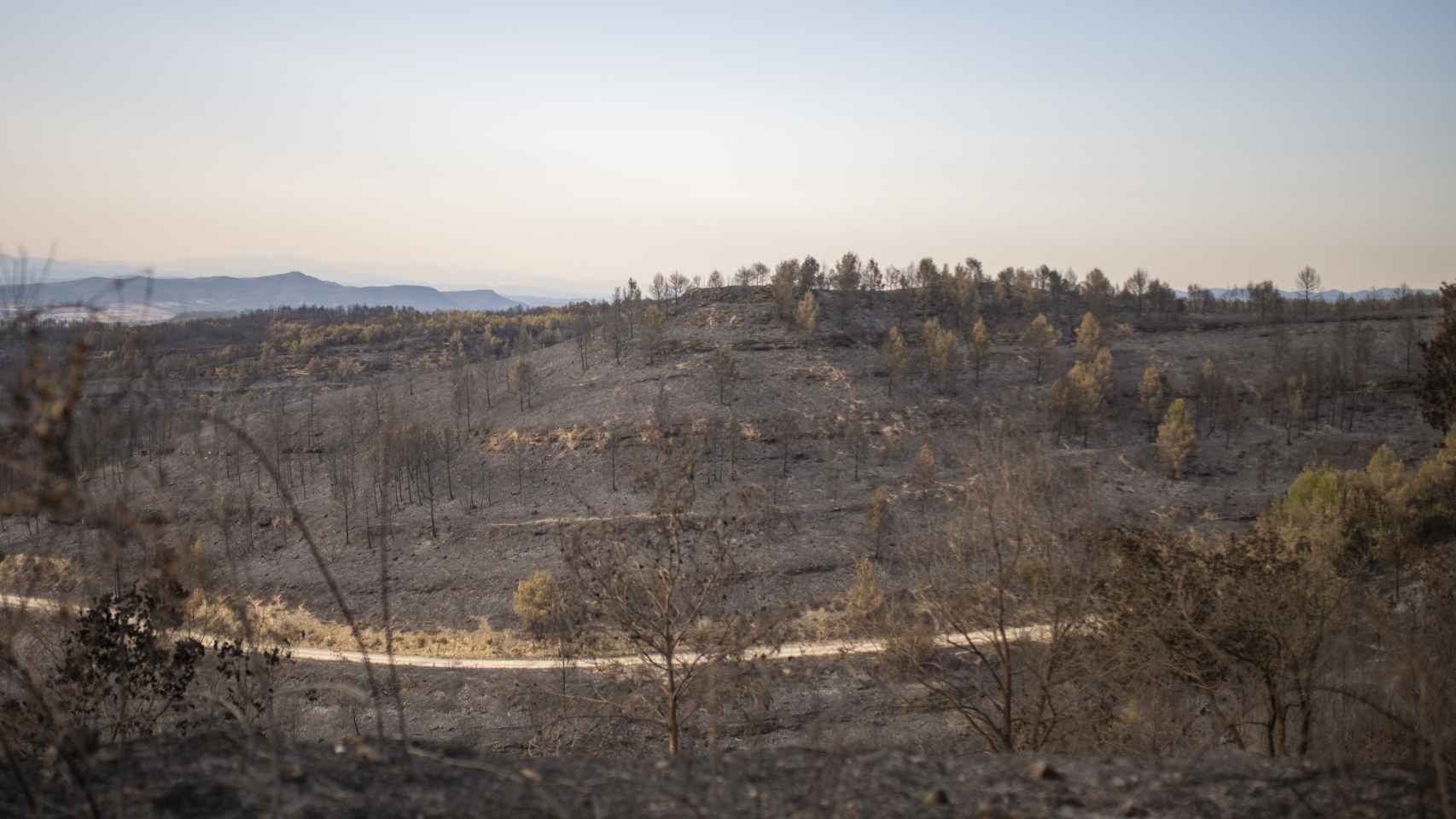 Vistas del monte cercano a la urbanización de River Park, el 19 de julio de 2022, en Pont de Vilomara / Lorena Sopêna - EUROPA PRESS