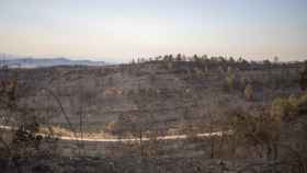 Vistas del monte cercano a la urbanización de River Park, el 19 de julio de 2022, en Pont de Vilomara / Lorena Sopêna - EUROPA PRESS