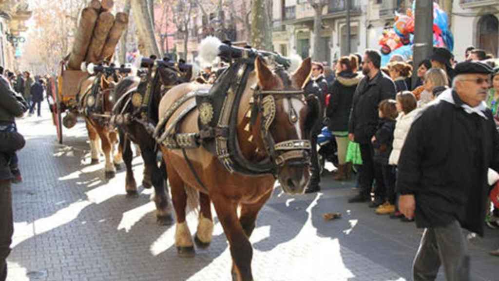 Paseo con caballos durante la Fiesta dels Tres Tombs, uno de los planes de este fin de semana / AJUNTAMENT DE VILANOVA I LA GELTRÚ