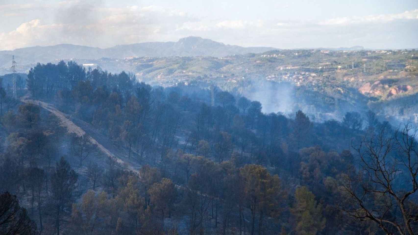 Zona afectada por el incendio forestal de Castellví de Rosanes (Barcelona) / Lorêna Sopena (EP)