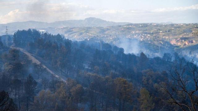 Zona afectada por el incendio forestal de Castellví de Rosanes (Barcelona) / Lorêna Sopena (EP)