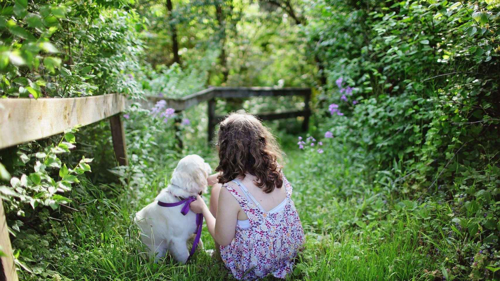 Una niña y su perro en un camino salvaje / CG