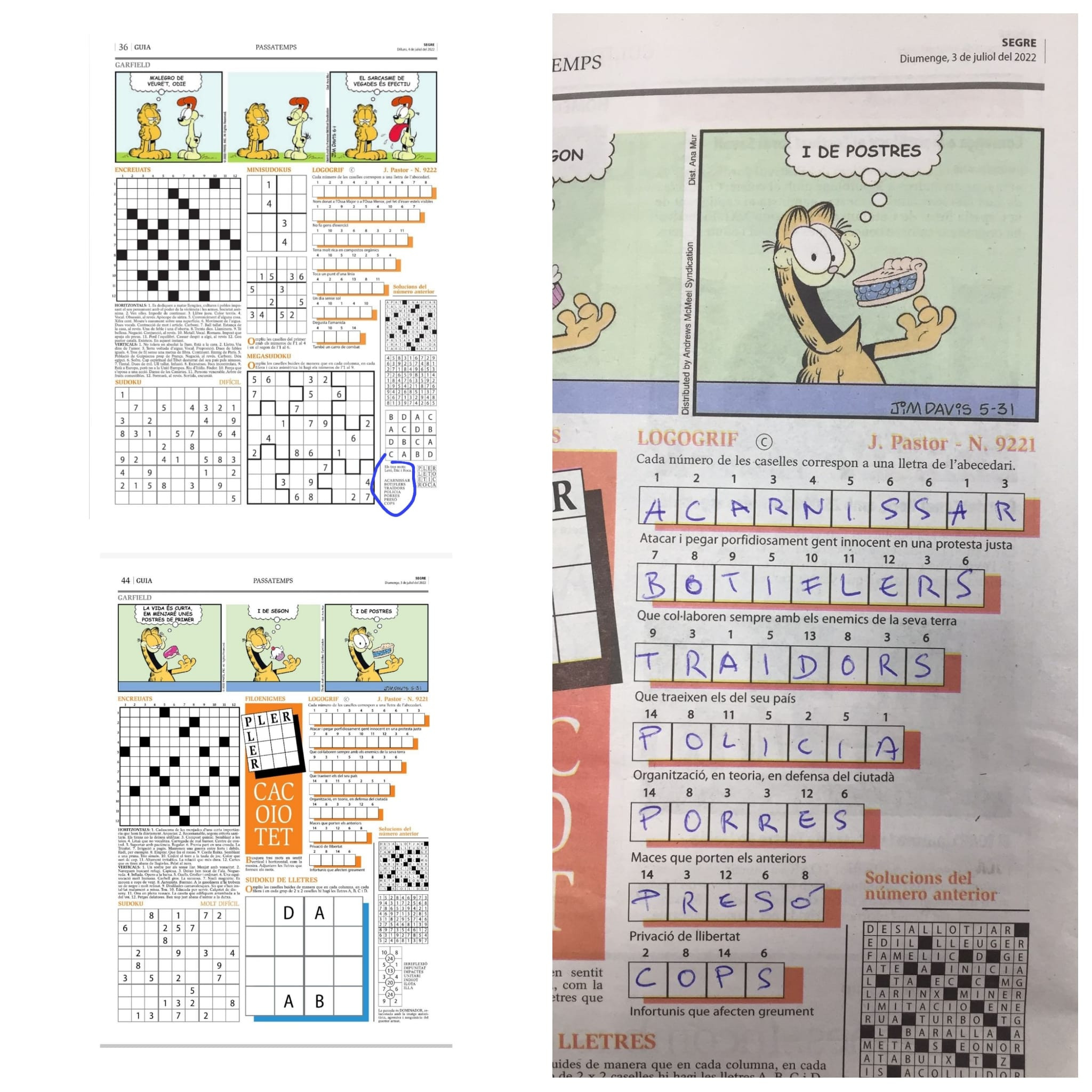 Sección de pasatiempos del 'diari Segre' del domingo 3 de julio de 2022 / TWITTER