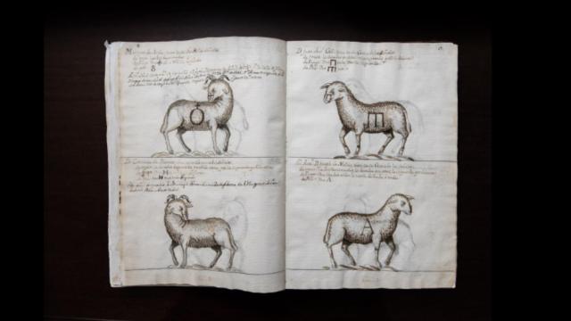 Libro de Marcas de 1722 de Casa de Ganaderos