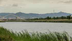 Imagen del río Llobregat / AIGÜES DE BARCELONA