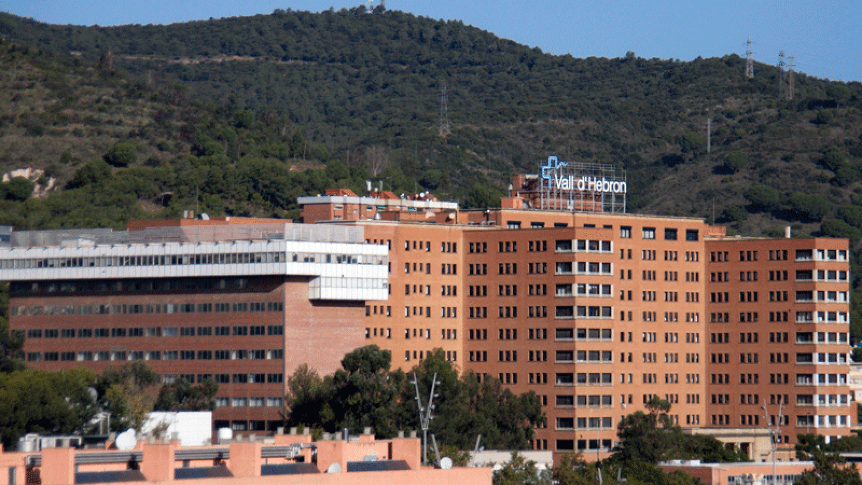 El incidente entre la activista y la médico se produjo en el Hospital Vall d'Hebron.