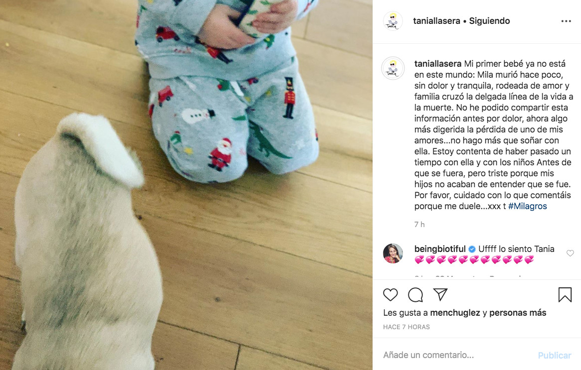 Tania Llasera comunica la muerte de su perrita Mila en las redes sociales / INSTAGRAM