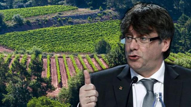Viñedos de Torelló Mata y el presidente de la Generalitat, Carles Puigdemont / FOTOMONTAJE CG