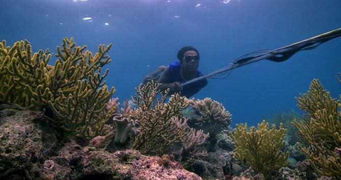 Pescador bajau bajo el agua / YOUTUBE