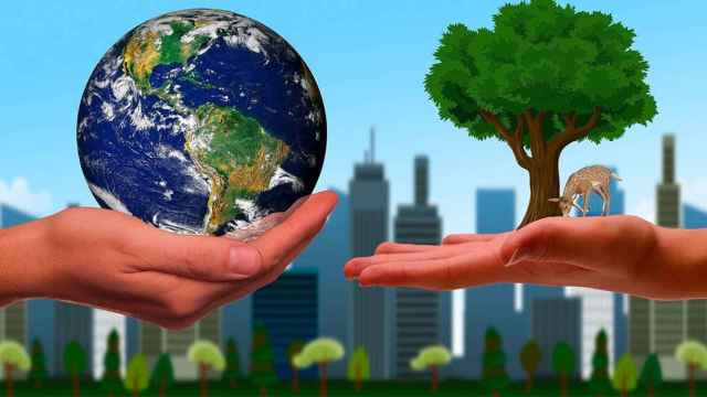 Mundo sostenible / PIXABAY