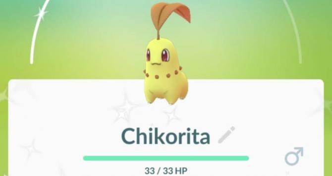 Un Chikorita shiny / CG